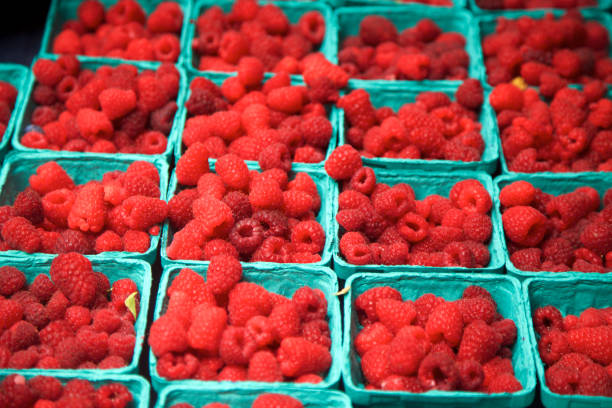 istock farmer's market raspberries 815931542