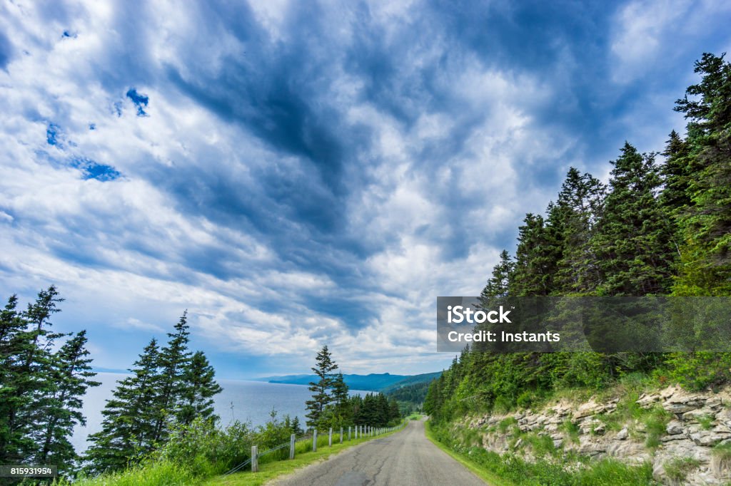 Road in Forillon, one of Canada’s 42 National Parks and Park Reserves, heading towards Cap-Bon-Ami. Travel photography. Beauty In Nature Stock Photo