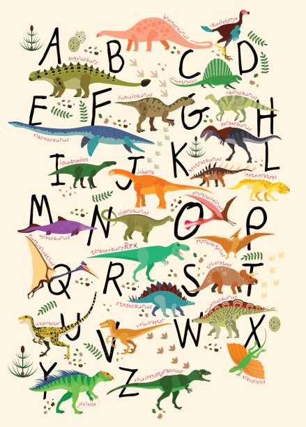 ABC Dinosaurs. Learning Alphabets With Dinosaurs. ABC Dinosaurs. Vector Illustration dinosaur stock illustrations