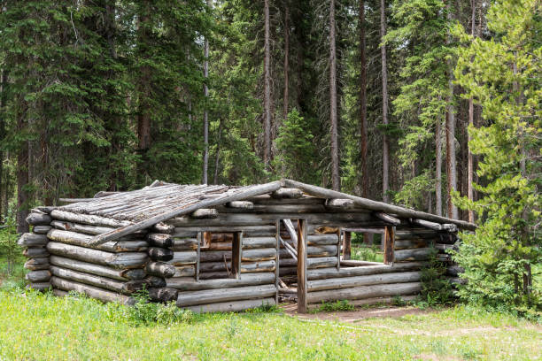 istock Abandoned Cabin in Northern Colorado at State Forest State Park 815957950