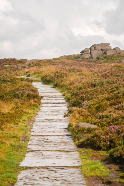 un sentiero si snoda attraverso the roaches, una popolare destinazione a piedi nelle brughiere dello staffordshire - stone leek foto e immagini stock