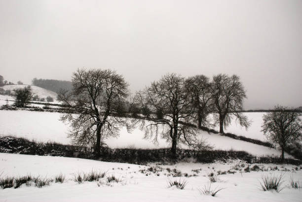 Winter landscape in Hampshire England
