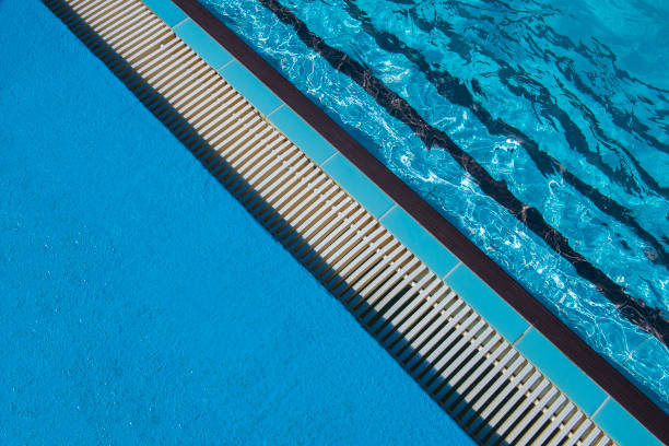 istock High angle view of swimming pool in summertime 815960592