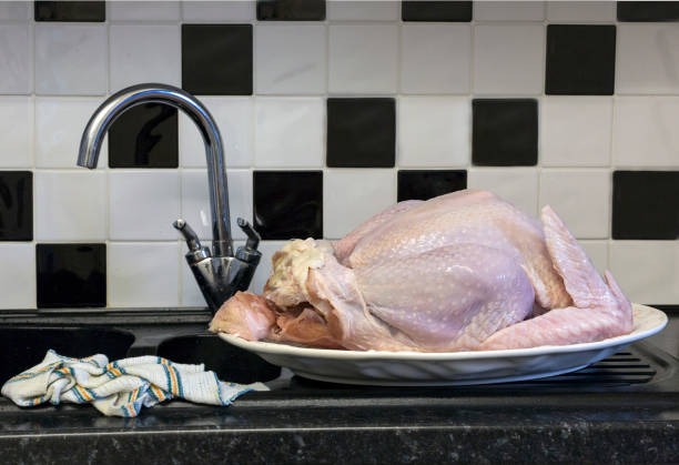 Raw Poultry Raw poultry defrosting on a kitchen sink. A dish cloth is in close proximity to the defrosting meat creating a cross contamination and food poisoning situation. animal abdomen photos stock pictures, royalty-free photos & images