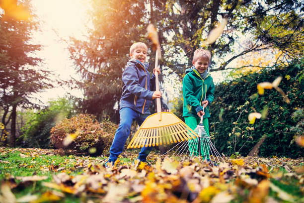 Little boys having fun raking autumn leaves Little boys raking autumn leaves. Two brothers aged 7 are helping to clean autumn leaves from the garden lawn.
 rake stock pictures, royalty-free photos & images