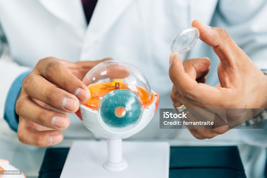 Visual Check Up Eye Check Up Stock Photo - Download Image Now - Eye, Retina, Eye Exam ...