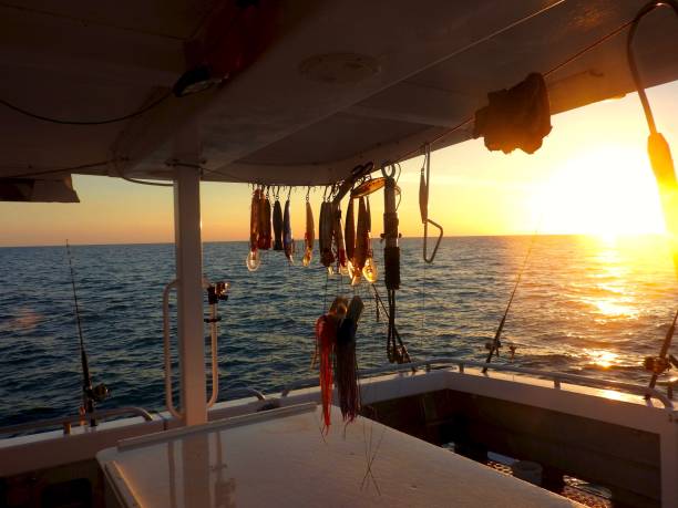 señuelos de pesca al atardecer - darwin northern territory australia sunset fotografías e imágenes de stock