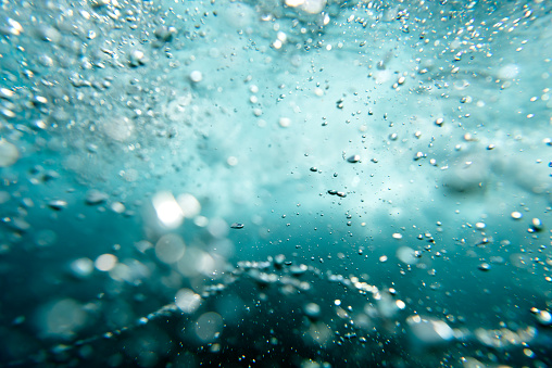 Bubbles underwater, Sydney Australia
