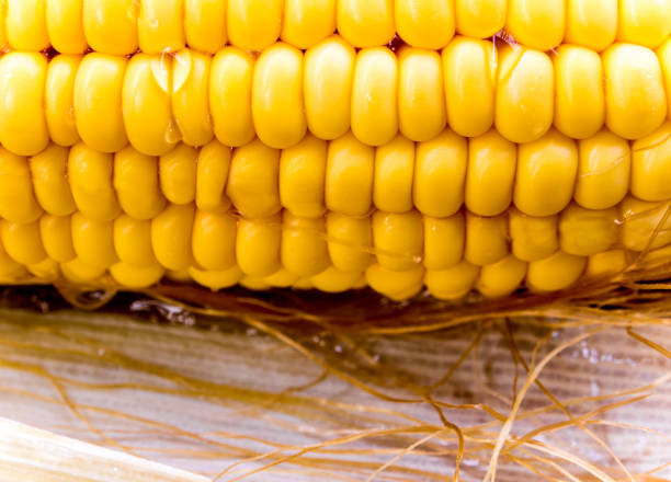 istock Texture of raw corn cob sweet maize 816025426