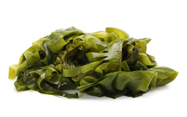 istock Edible seaweed，Wakame  isolated on white background 816030572