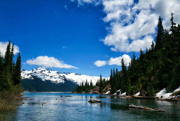 istock Garibaldi Lake in summer, BC, Canada 816065048