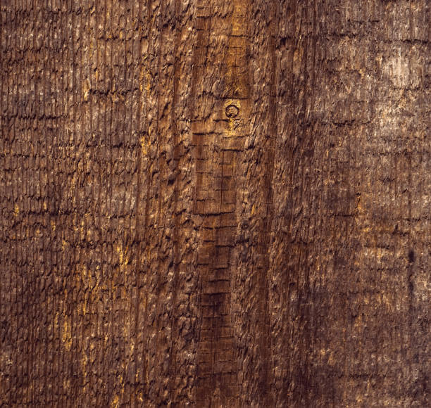texture uncouth is not treated texture uncouth is not treated wood brown coating outer layer photos stock pictures, royalty-free photos & images