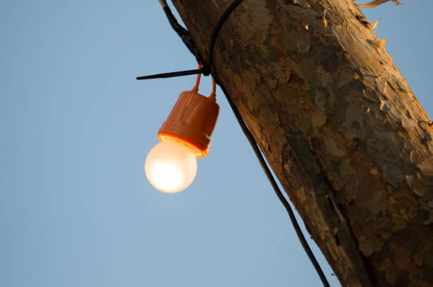 istock The bulb burns on a wooden pole 816089056