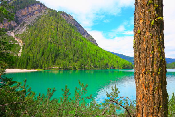 alpejski turkusowe jezioro pragser (lago di braies), idylliczny krajobraz w pobliżu majestatycznego doliny alp seekofel, dramatyczne włoskie dolomity południowego tyrolu ośnieżone panoramy pasma górskiego, włochy - latemar mountain range zdjęcia i obrazy z banku zdjęć