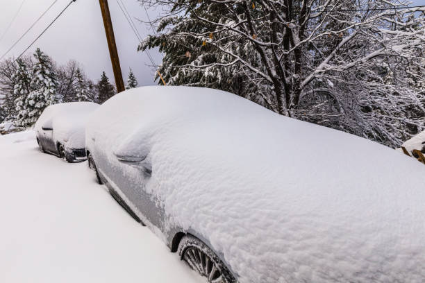 istock Car buried under a snow winter storm 816096780