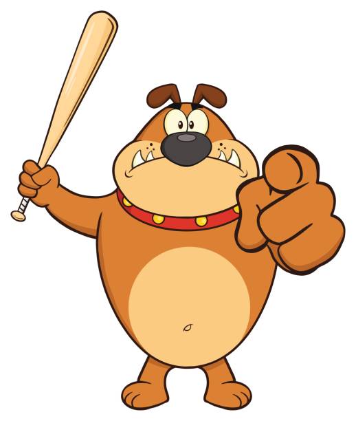 Angry Brown Bulldog Cartoon Mascot Character Holding A Bat And Pointing Angry Brown Bulldog Cartoon Mascot Character Holding A Bat And Pointing. Illustration Isolated On White Background dog pointing stock illustrations