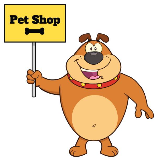 Brown Bulldog Cartoon Mascot Character Holding A Sign With Text Pet Shop Brown Bulldog Cartoon Mascot Character Holding A Sign With Text Pet Shop. Illustration Isolated On White Background dog pointing stock illustrations
