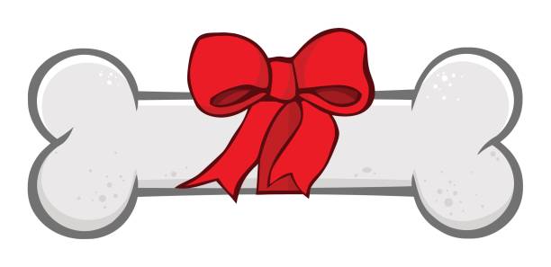 istock Dog Bone Cartoon Simple Drawing Design With Ribbon And Bow 816104678