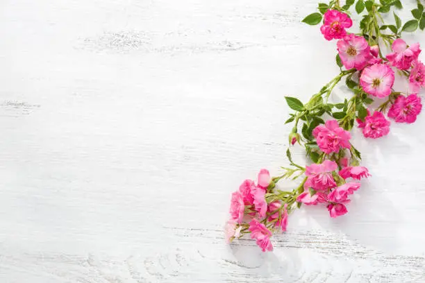 Photo of Branch of  small pink roses on a  shabby wooden table. flat lay