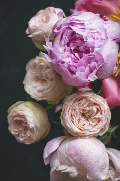 istock Pink roses and peonies bouquet 816139954