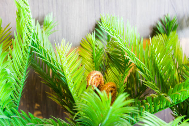 istock Decoration artificial flower in pot on wood table 816177636