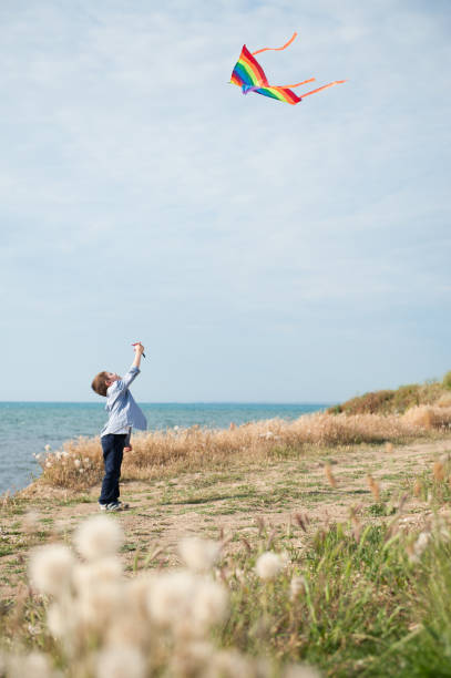 istock happy ittle boy holding flying kite on sea background 816177652