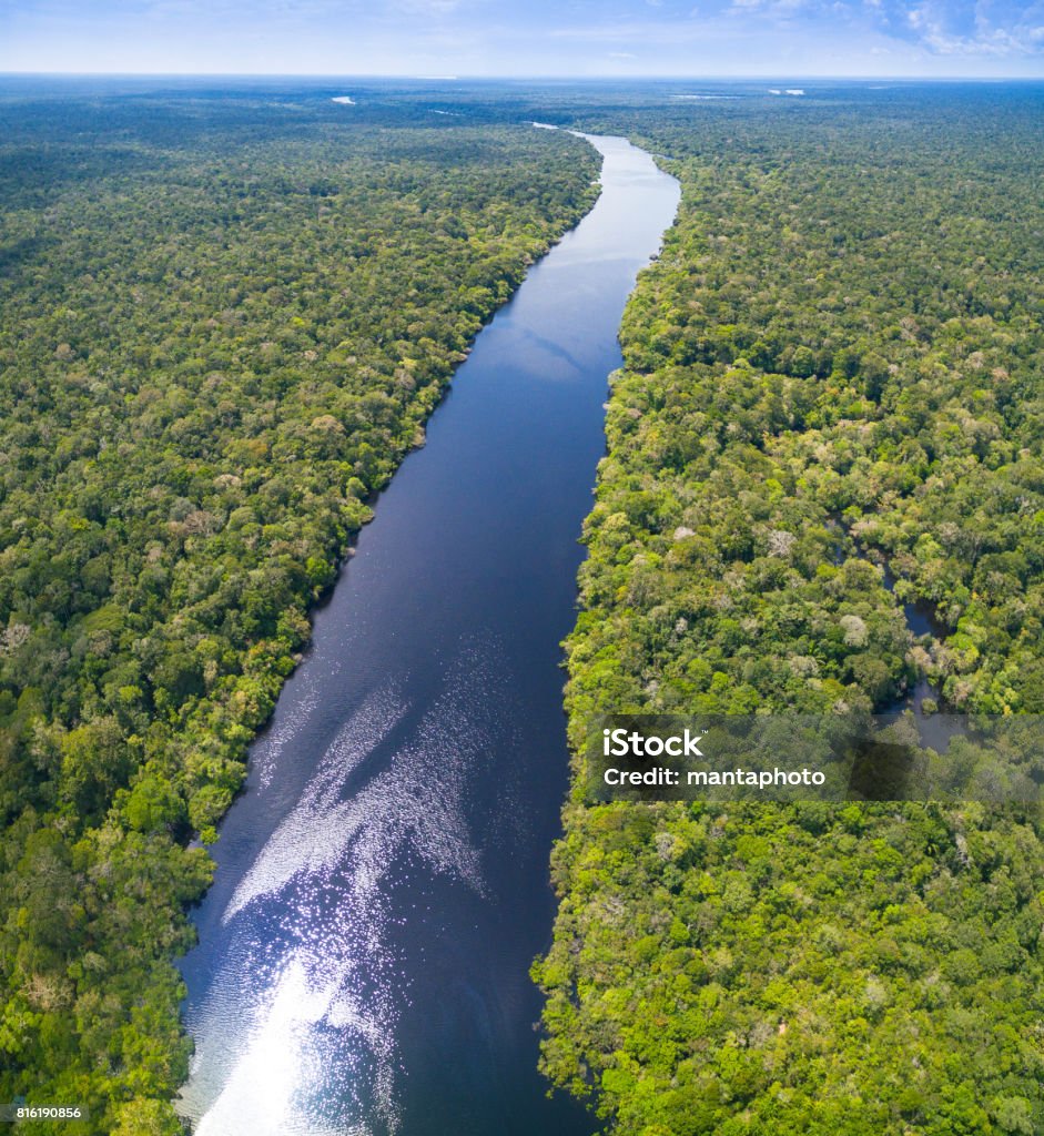 Sông Amazon Ở Brazil Hình ảnh Sẵn có - Tải xuống Hình ảnh Ngay bây ...