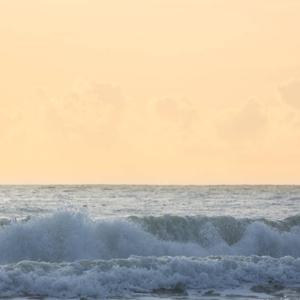 istock beautiful sea with clear sky and with cloud horizon background 816198362