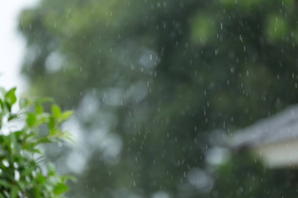 istock rain drop falling freshness with green bokeh nature, abstract blur background 816201378