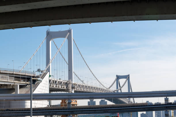 istock rainbow bridge in Tokyo, Japan 816207888