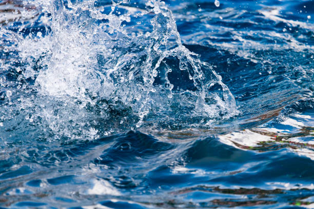 istock Splashing water in the pool as a background 816222660