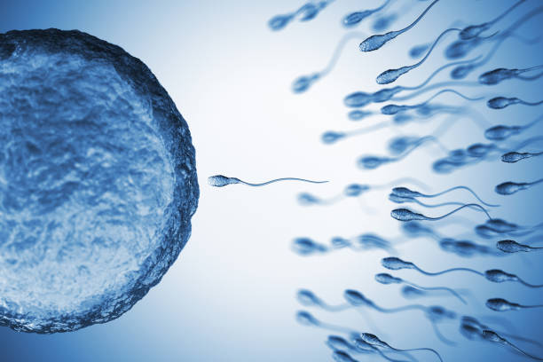 Insemination Genetics background. 3D Render sperm stock pictures, royalty-free photos & images