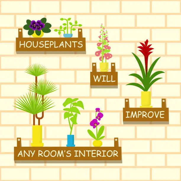 Vector illustration of Home flowers in pots