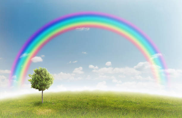 istock Panorama of green field 816236216