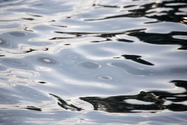 istock The smooth water in the pool as a background 816237314
