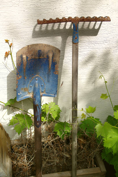istock Vintage shovel and rake 816246536