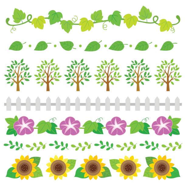 summer nature elements border set Summer,design elements, border,icon,frame,nature,plant,flower sunflower vine stock illustrations