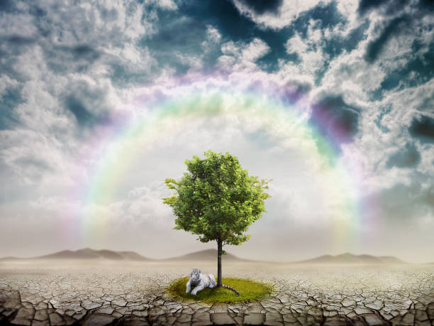 istock Lonely green tree in the desert 816249480