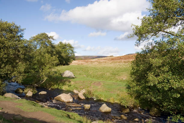 istock Burbage Brook, Longshaw Estate, Peak District, UK 816257092