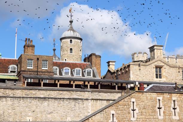 London, England - Tower of London with birds.