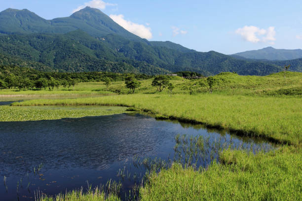 istock Shiretoko National Park, World Heritage 816271006