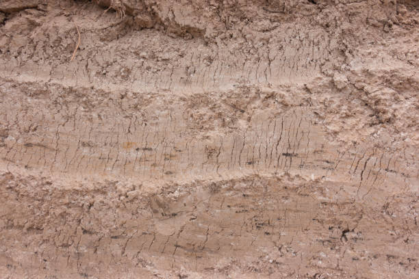istock section texture Layered soil of earth underground 816271616