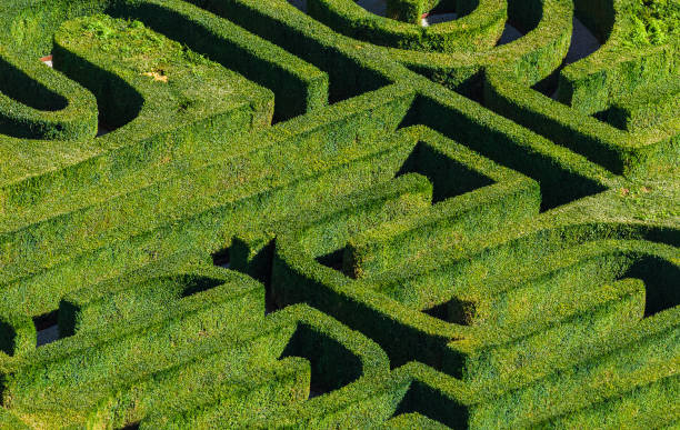istock Maze in Venice Italy 816273924