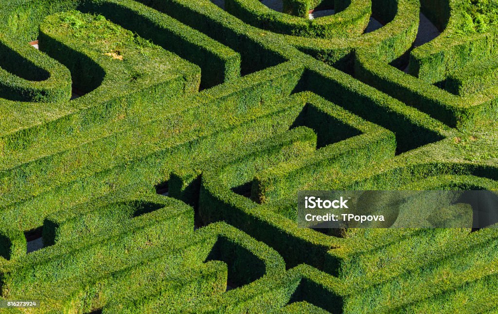 Maze in Venice Italy Maze in Venice Italy - nature background Maze Stock Photo