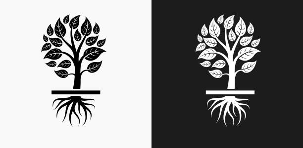 ilustrações, clipart, desenhos animados e ícones de cresce a árvore ícone em preto e branco vector backgrounds - nature black and white leaf black background