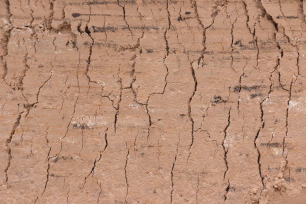istock section texture Layered soil of earth underground 816282346
