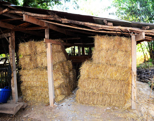 istock stack of straw in farmhouse 816282362