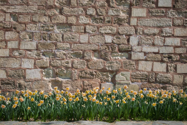 istock Wall made of the same type of stones 816295820