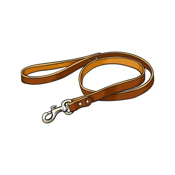 Vector illustration of Simple pet, cat, dog brown leather leash with metal fastener