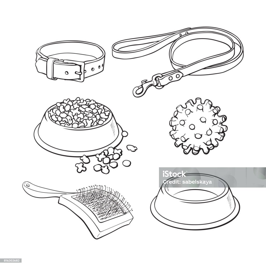 Pet, cat, dog accessories - bowl, collar, leash, rubber ball, hairbrush Set of pet, cat, dog accessories full and empty bowl, collar, leash, rubber ball, hairbrush, black and white sketch style vector illustration isolated on white background. Hand drawn pet accessories Pet Leash stock vector